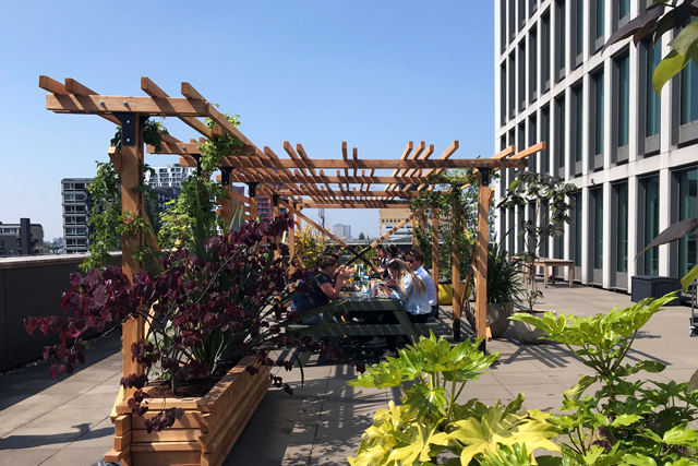 Pergola